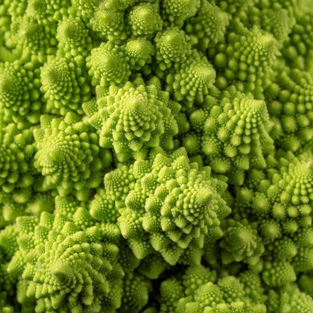Sıralısı bitkiler 2 romanesco